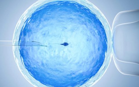 试管周期中胚胎碎片率的影响因素有哪些？对试管婴儿的费用有影响吗？