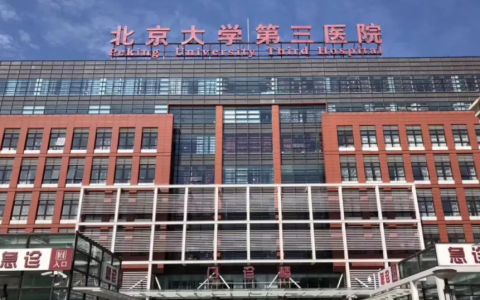 北京解放军306医院做试管婴儿的费用是多少？